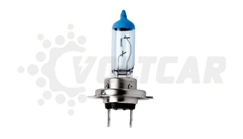 لامپ دوفیش پرشیایی یخی ۱۲ ولت ۱۰۰ وات شاینی ولف