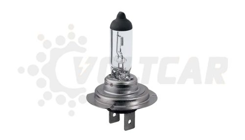 لامپ دوفیش پرشیایی ۱۲ ولت ۵۵ وات شاینی ولف