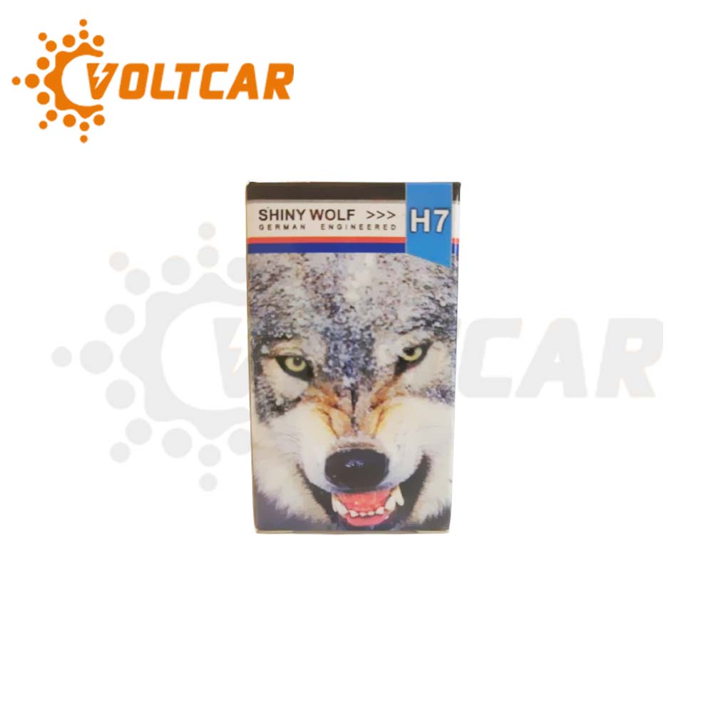 لامپ دوفیش ۲۴ ولت ۱۰۰ وات FH شاینی ولف H7