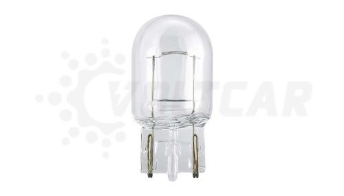 لامپ آریایی یک کنتاکت 12 ولت 21 وات w21wفیلیپس 12065CP