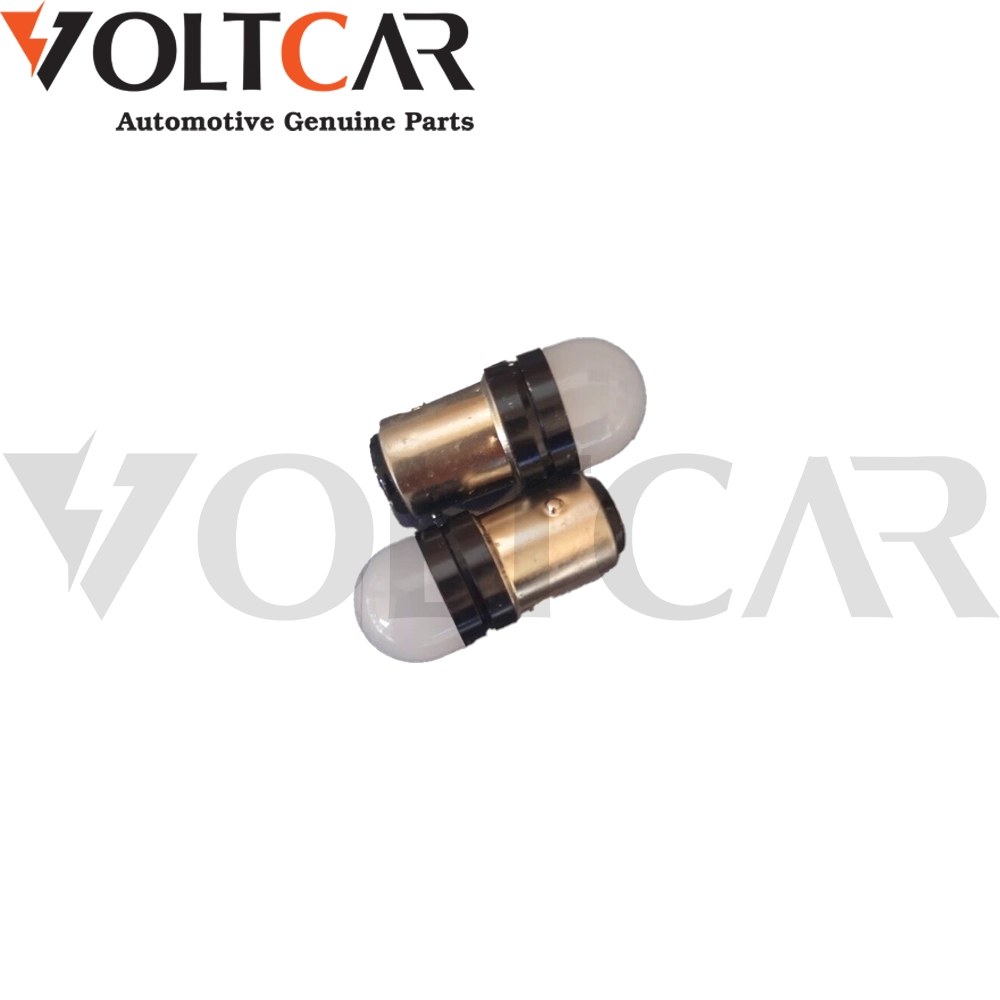 لامپ دو کنتاکت چشمک زن هفت رنگ و ثابت یخی