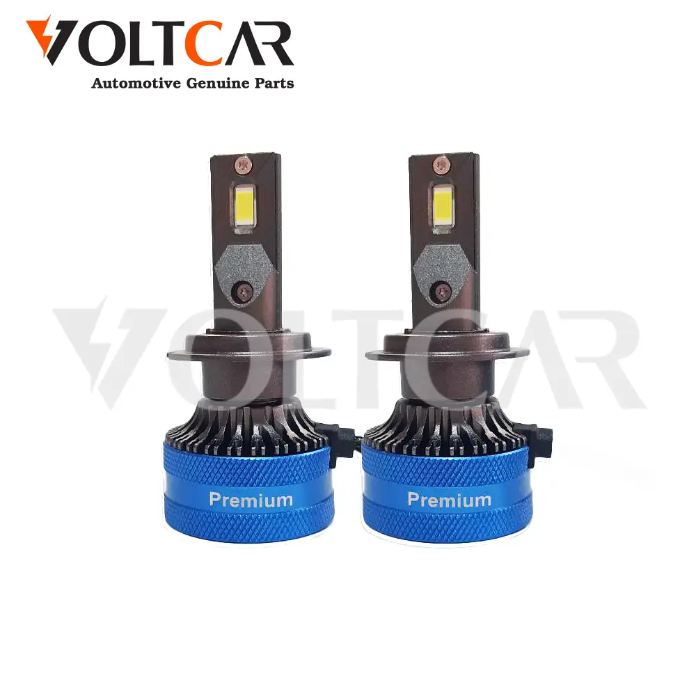 هدلایت پرمیوم p60